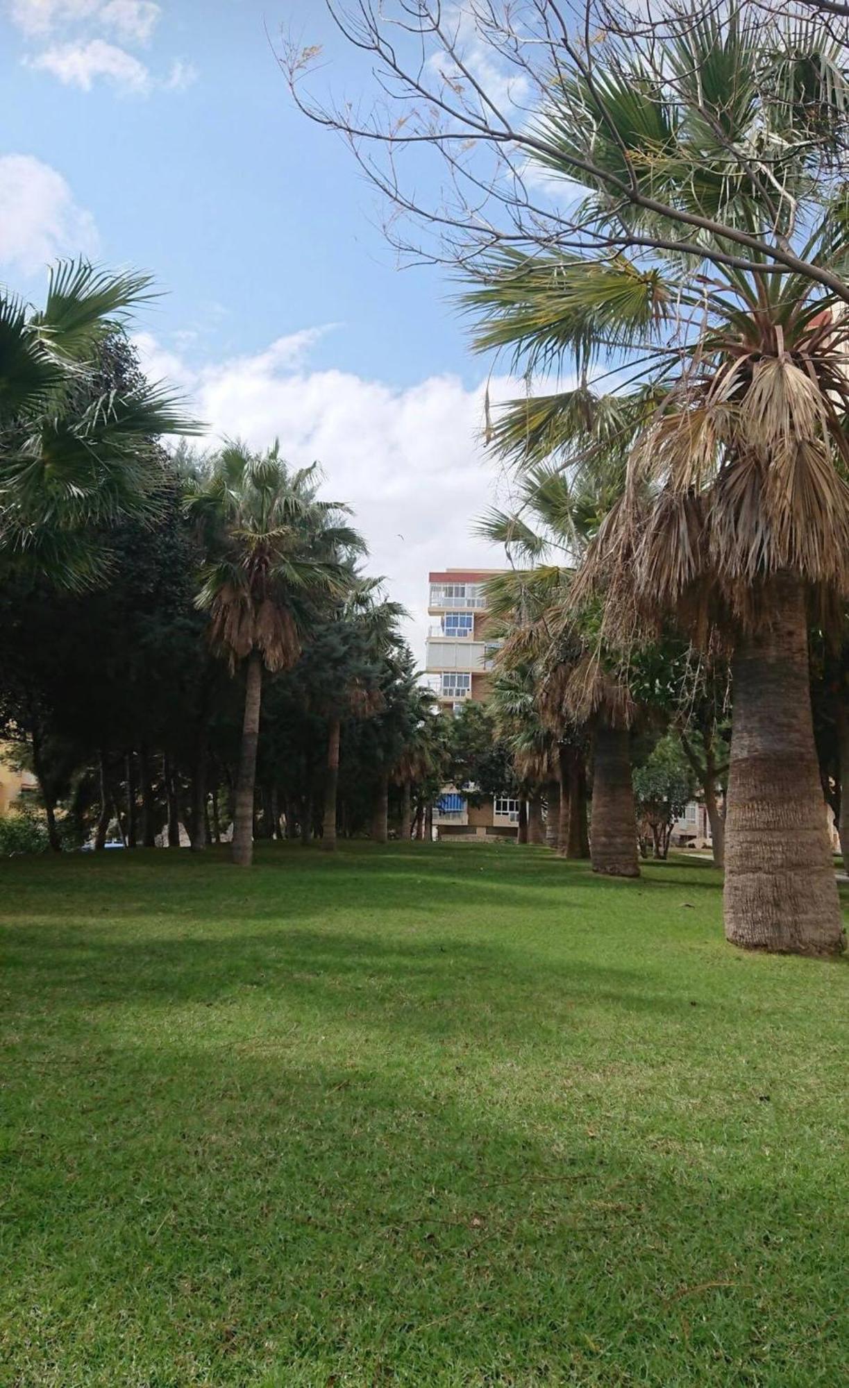 Hercules Paradise 531 Apartamento Con Vistas Al Mar Mediterraneo En Benalmadena A Pasos Del Centro Y Su Vibrante Zona Comercial Disfruta De Una Experiencia Unica En La Costa Del Sol Malaga Andalucia Well-Connected To The Airport 외부 사진